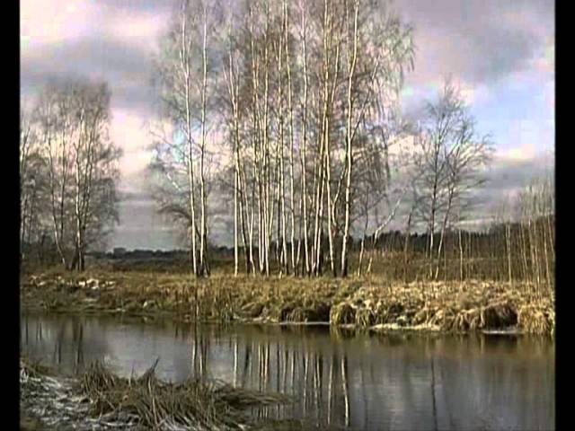 Владимир Трошин Осень