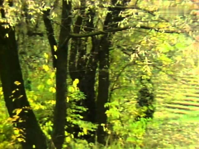 Анна Герман Гори, гори, моя звезда