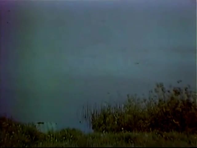 Сёстры Фёдоровы Бежит река