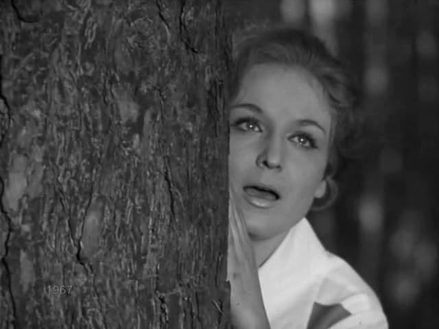 Галина Писаренко (за кадром) Берёза