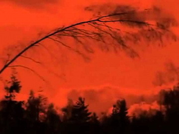 Вадим Мулерман Я иду через осень