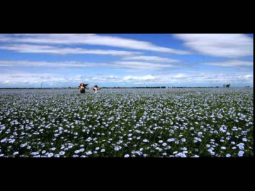 Людмила Зыкина Сибирский ленок